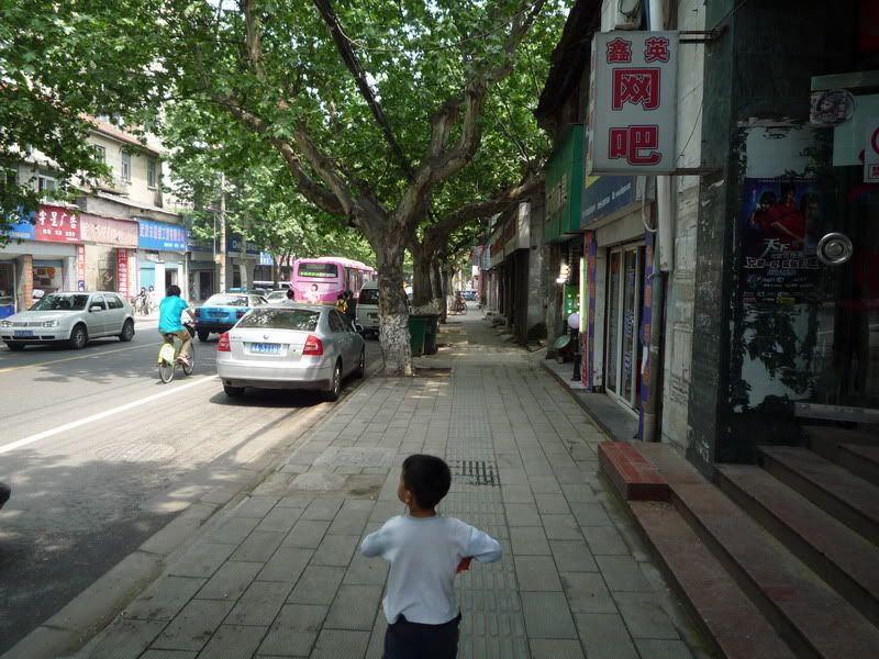 P1060910.jpg
