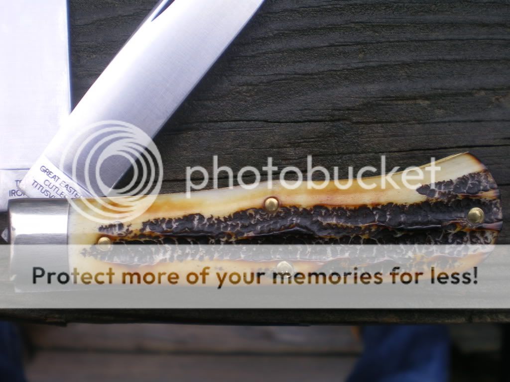 IMGP0047.jpg