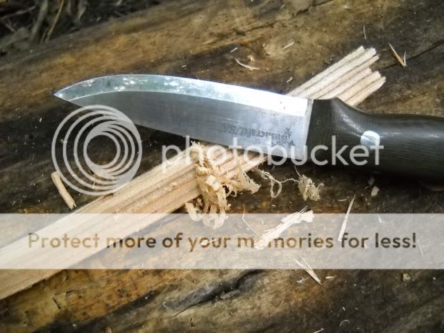 DSCN1125.jpg