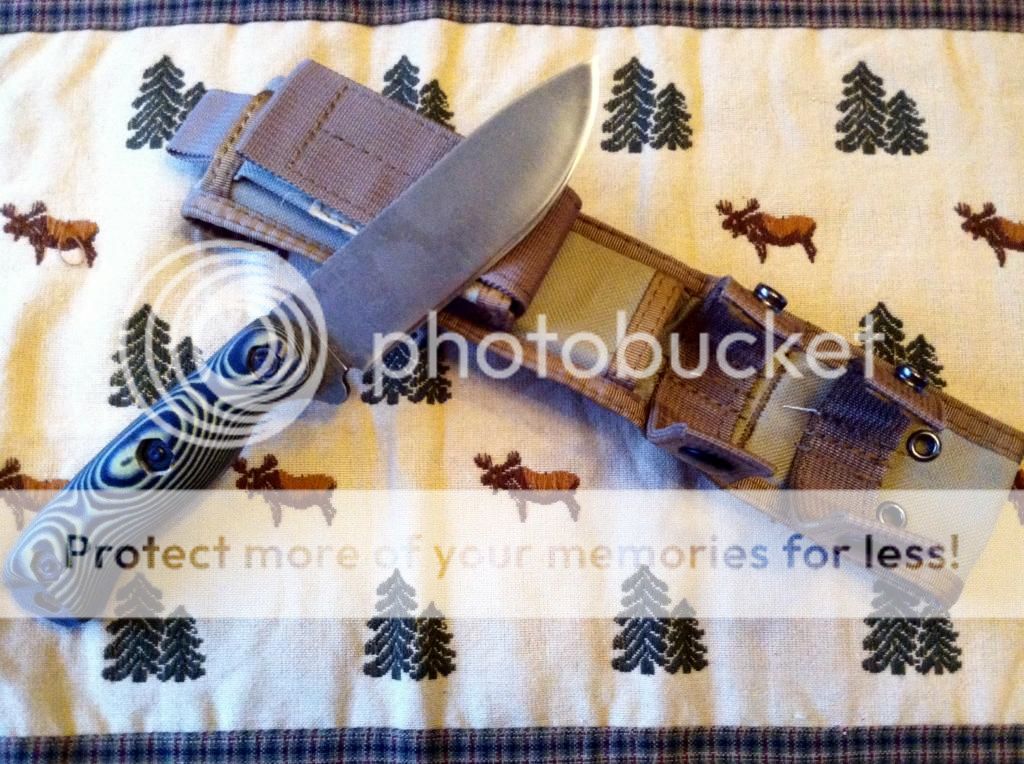 IMG_0640_zps7670dc58.jpg