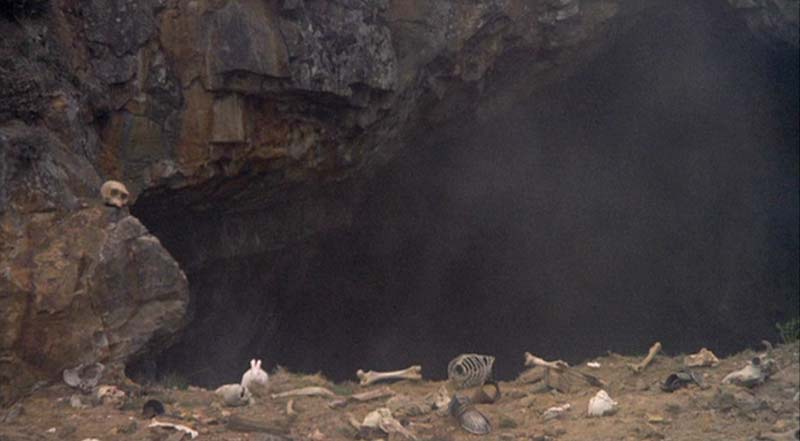 Rabbit-monty-python-380152_800_441.jpg
