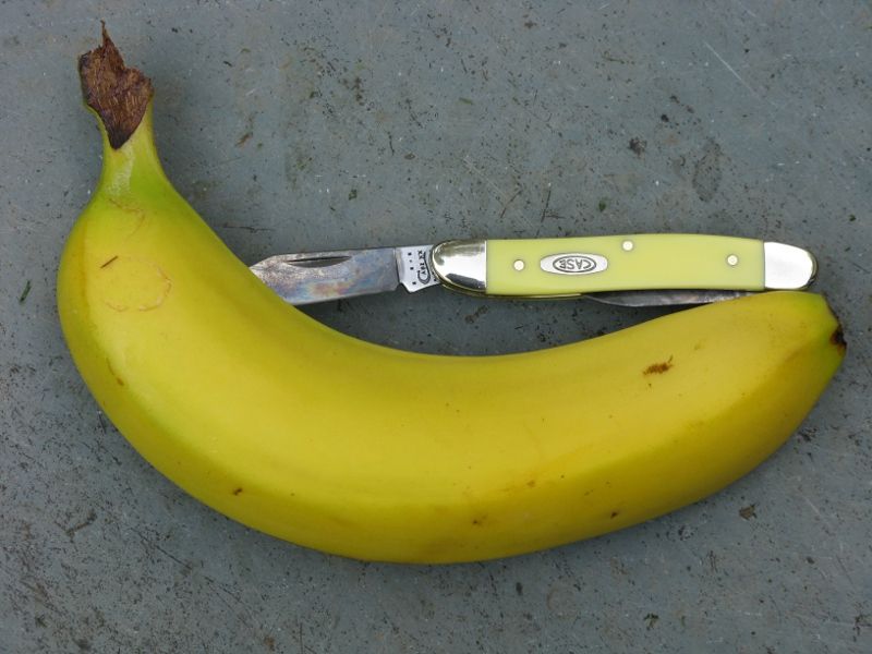 bananapen.jpg