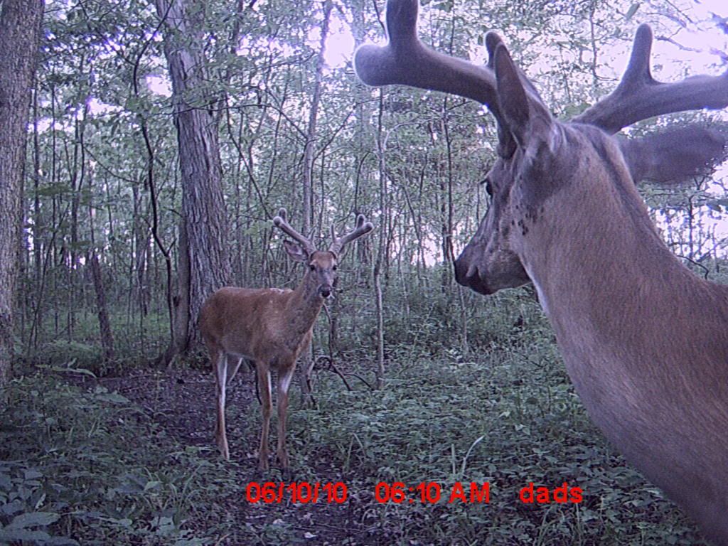 MDGC0102.jpg