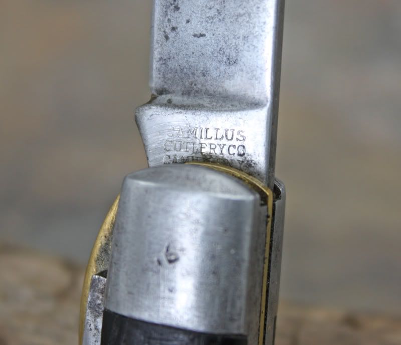 TL29a-1.jpg