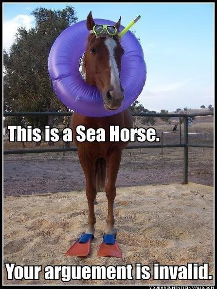 seahorse-1.jpg