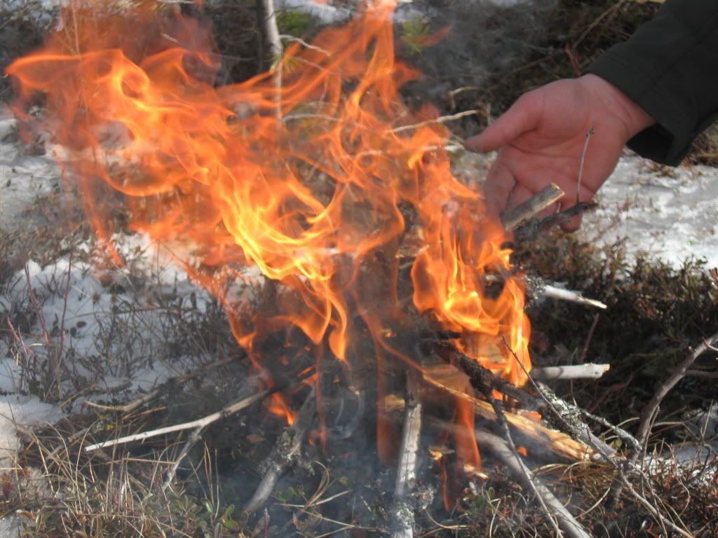 fatwoodfire.jpg