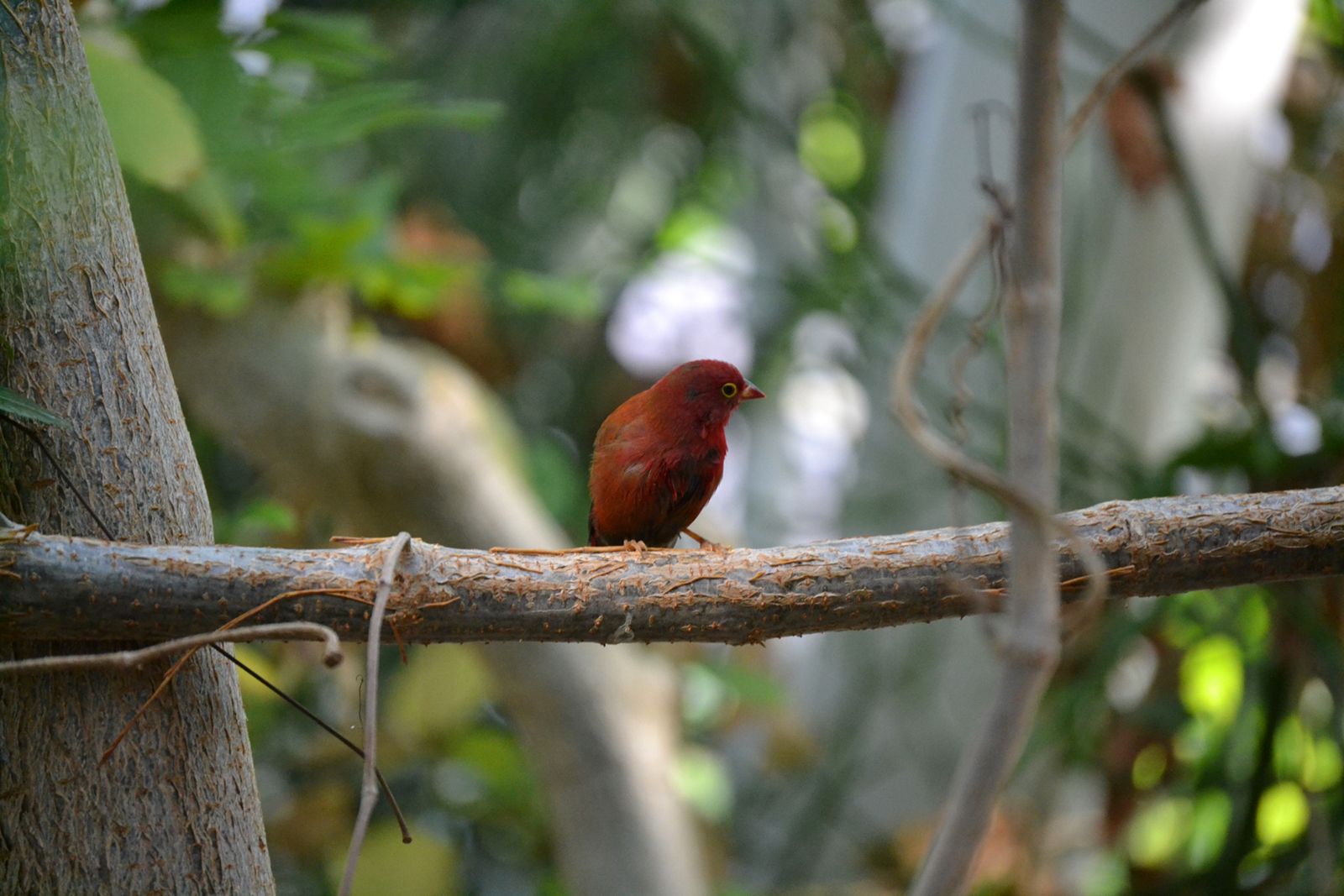 DSC_0396wa.jpg