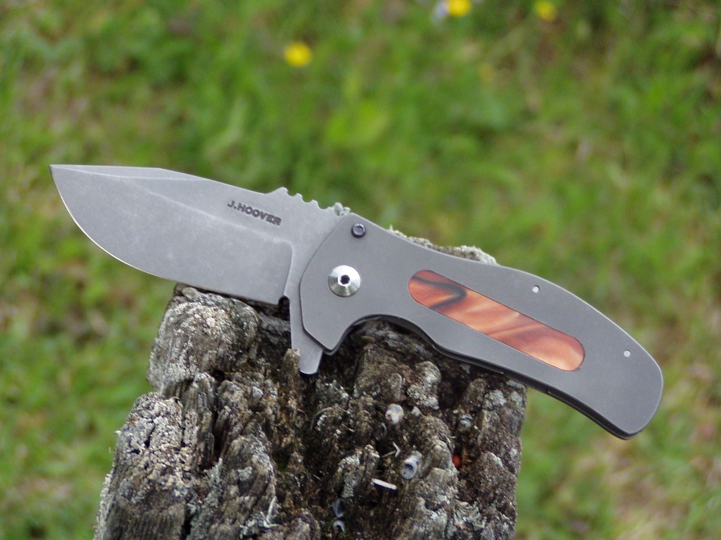 008_zps6aywoal1.jpg