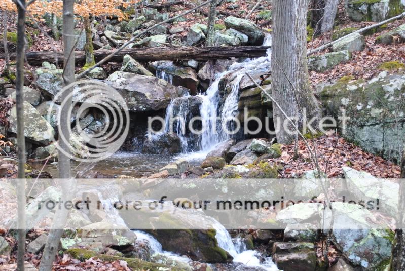 DSC_1308.jpg
