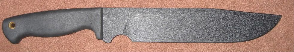 BrownTrout2010-1.jpg