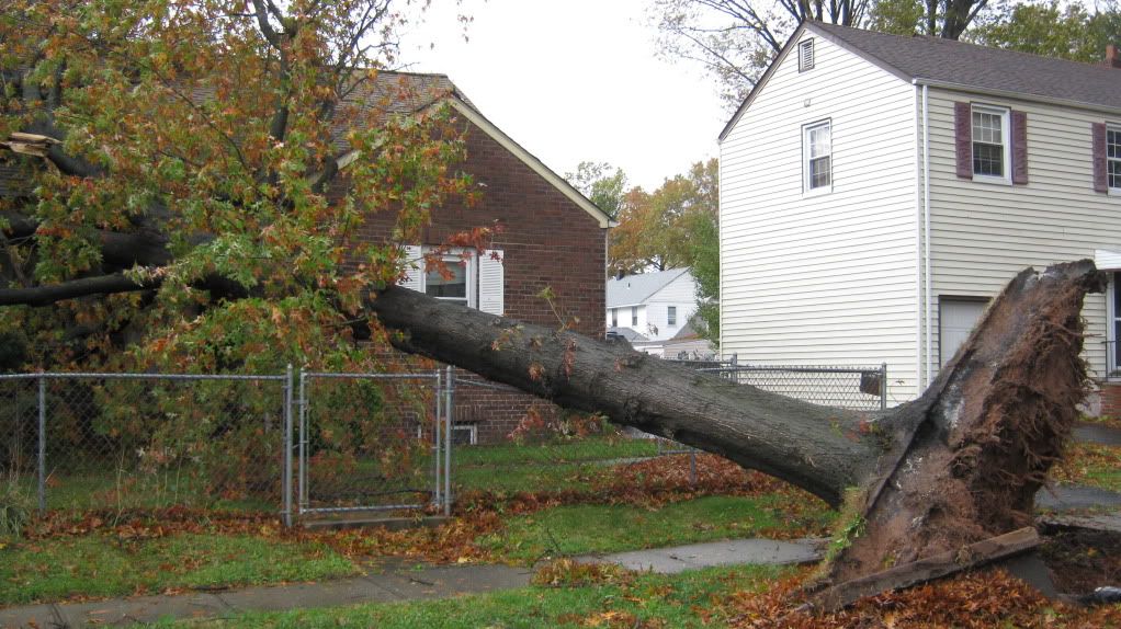 Sandy_aftermath_RahwayNJ_10-30-2012012.jpg