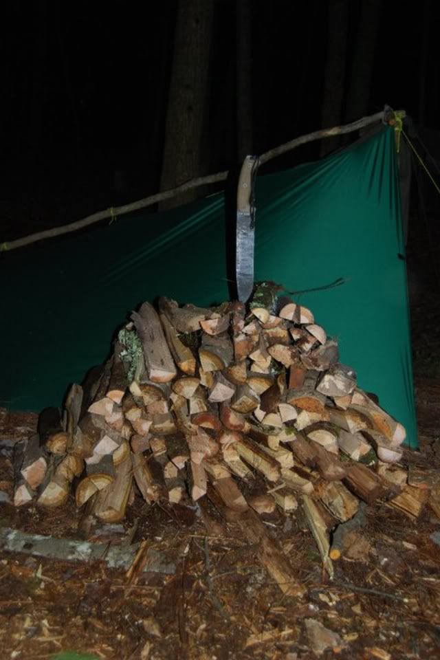 d72a5d87.jpg