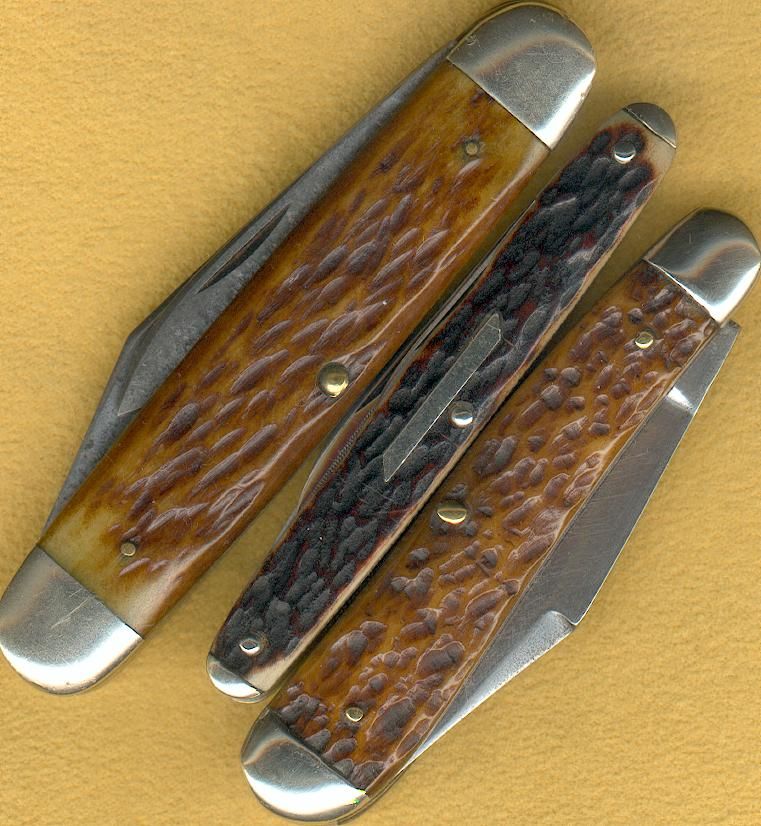 StagorBone1.jpg