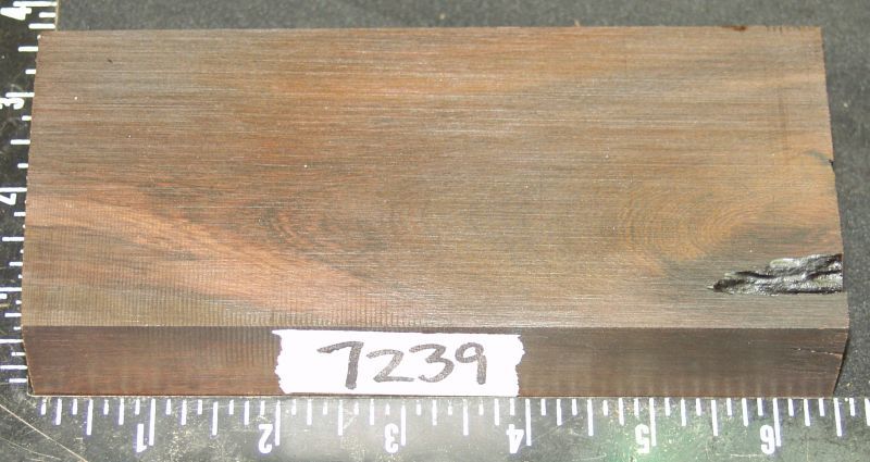 7239a.jpg