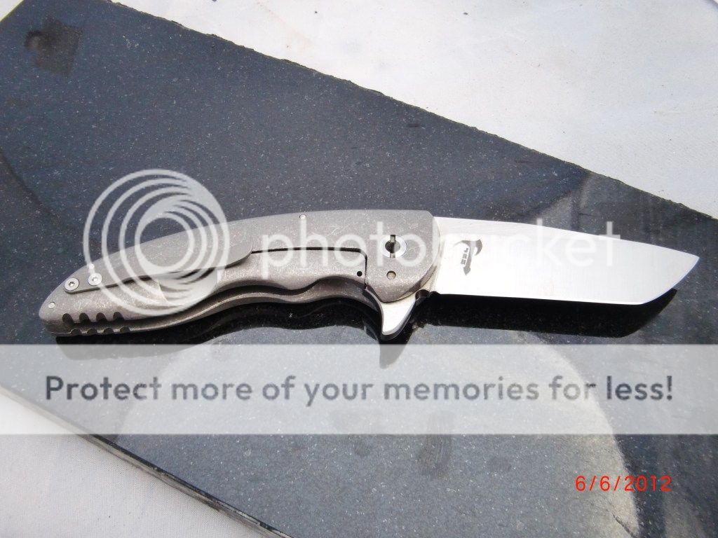 CIMG2379.jpg