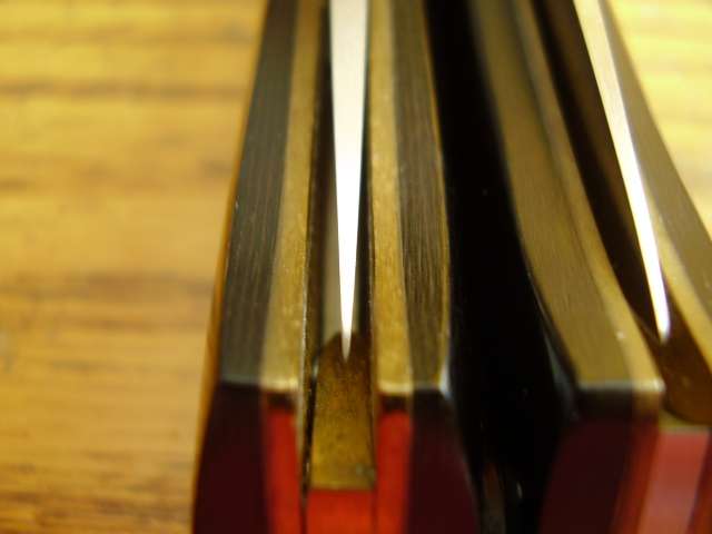 pb250018.jpg