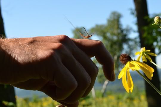 DSC_2656.jpg