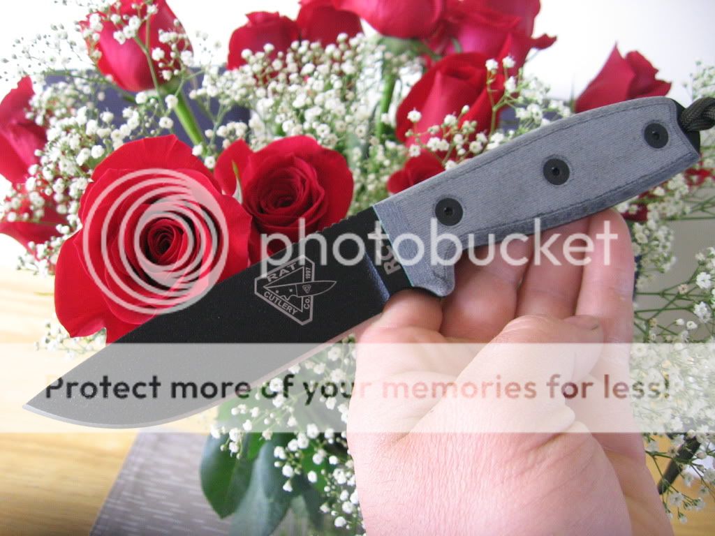 Roses.jpg