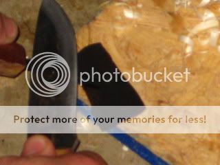 IMG_7662.jpg