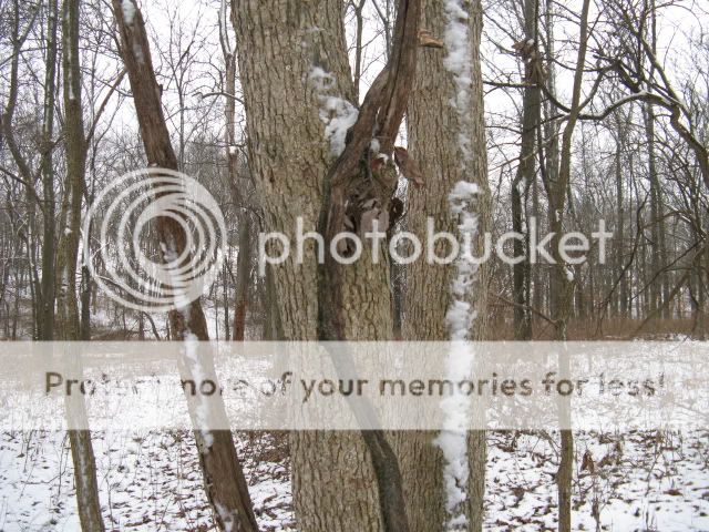 IMG_2006.jpg