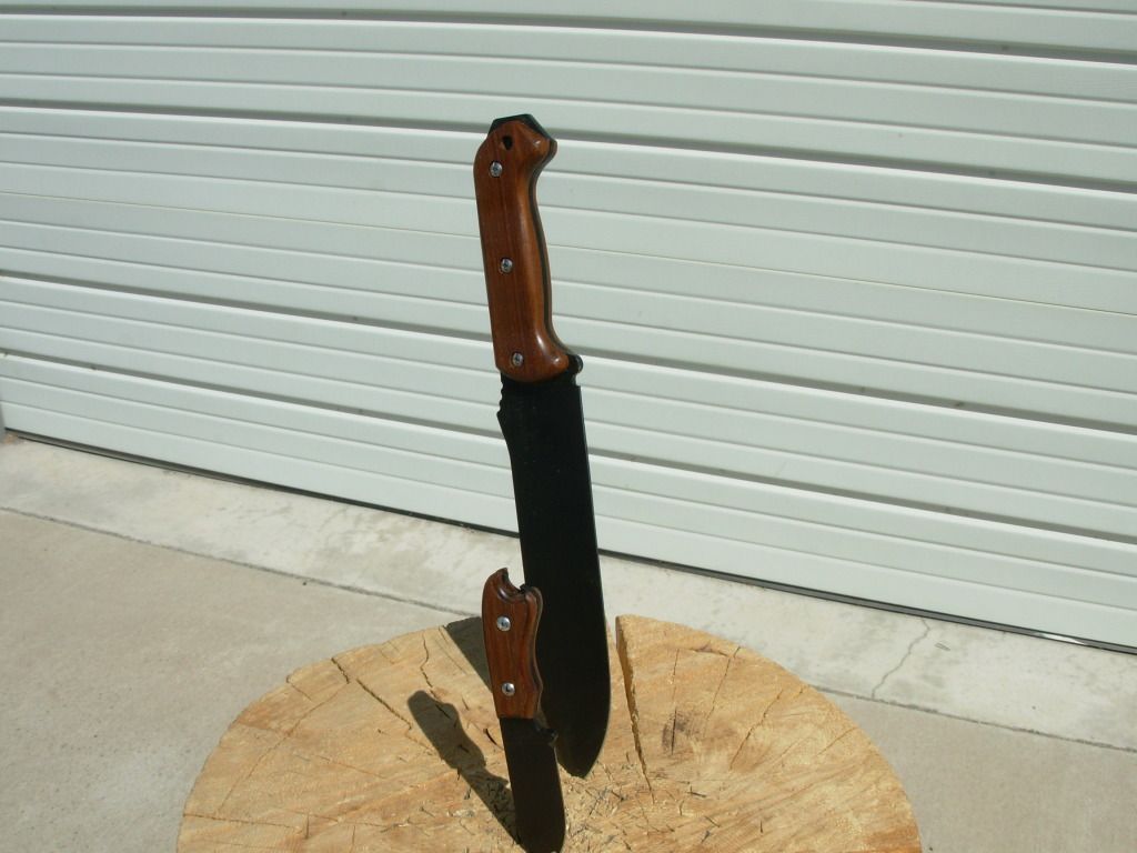 DSCN0895.jpg