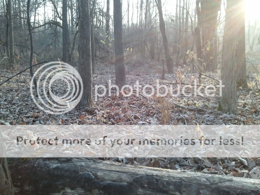 2012-11-17081737.jpg
