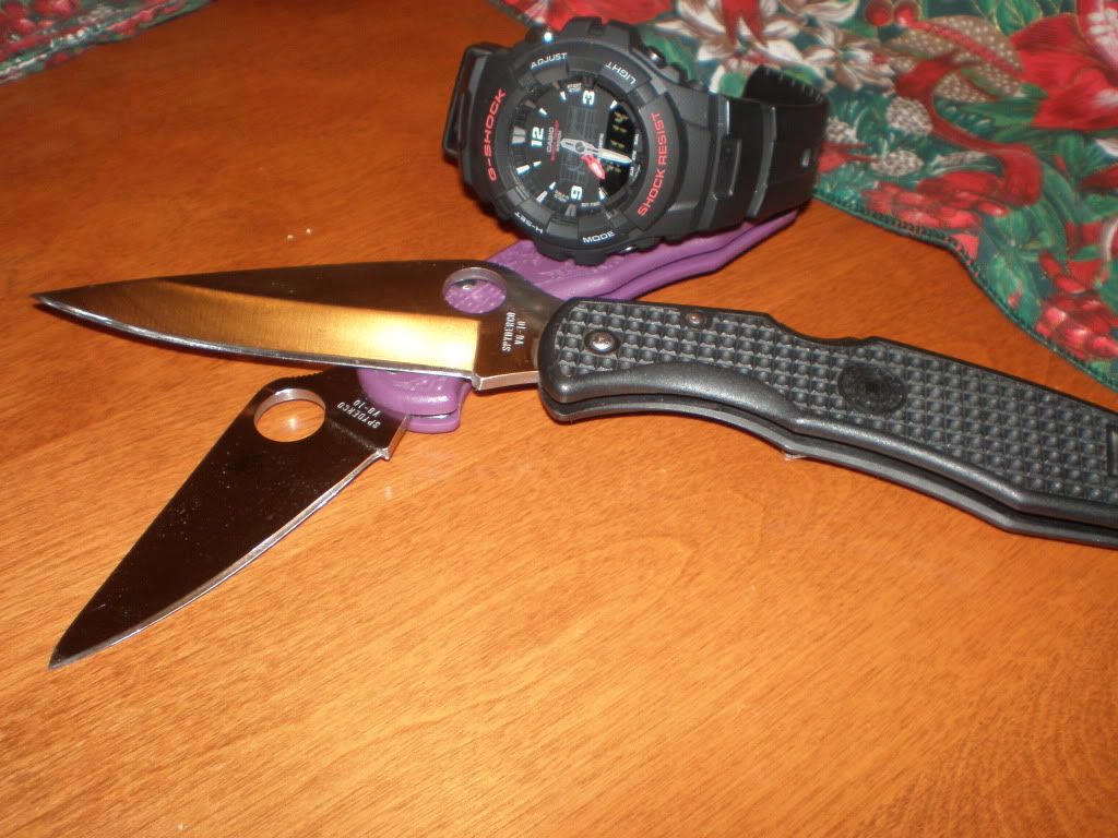 spydershock.jpg