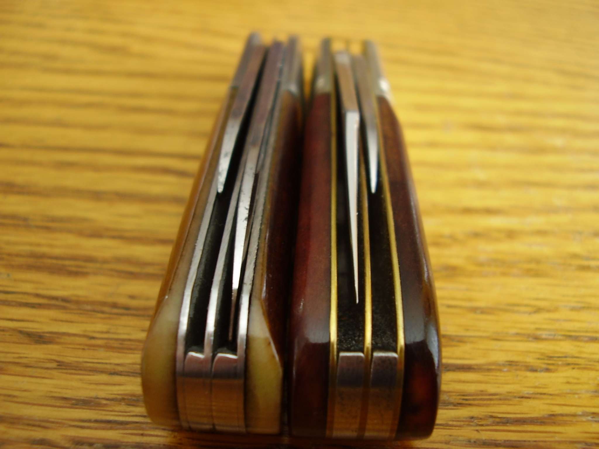 p4040004.jpg