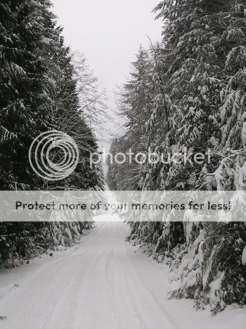 IMG_0047.jpg