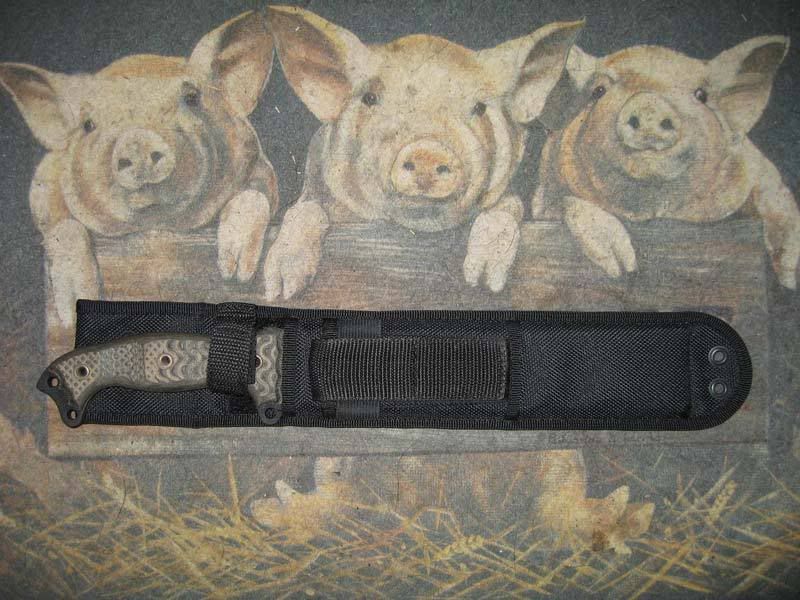 FBM_DF_sheath_1.jpg