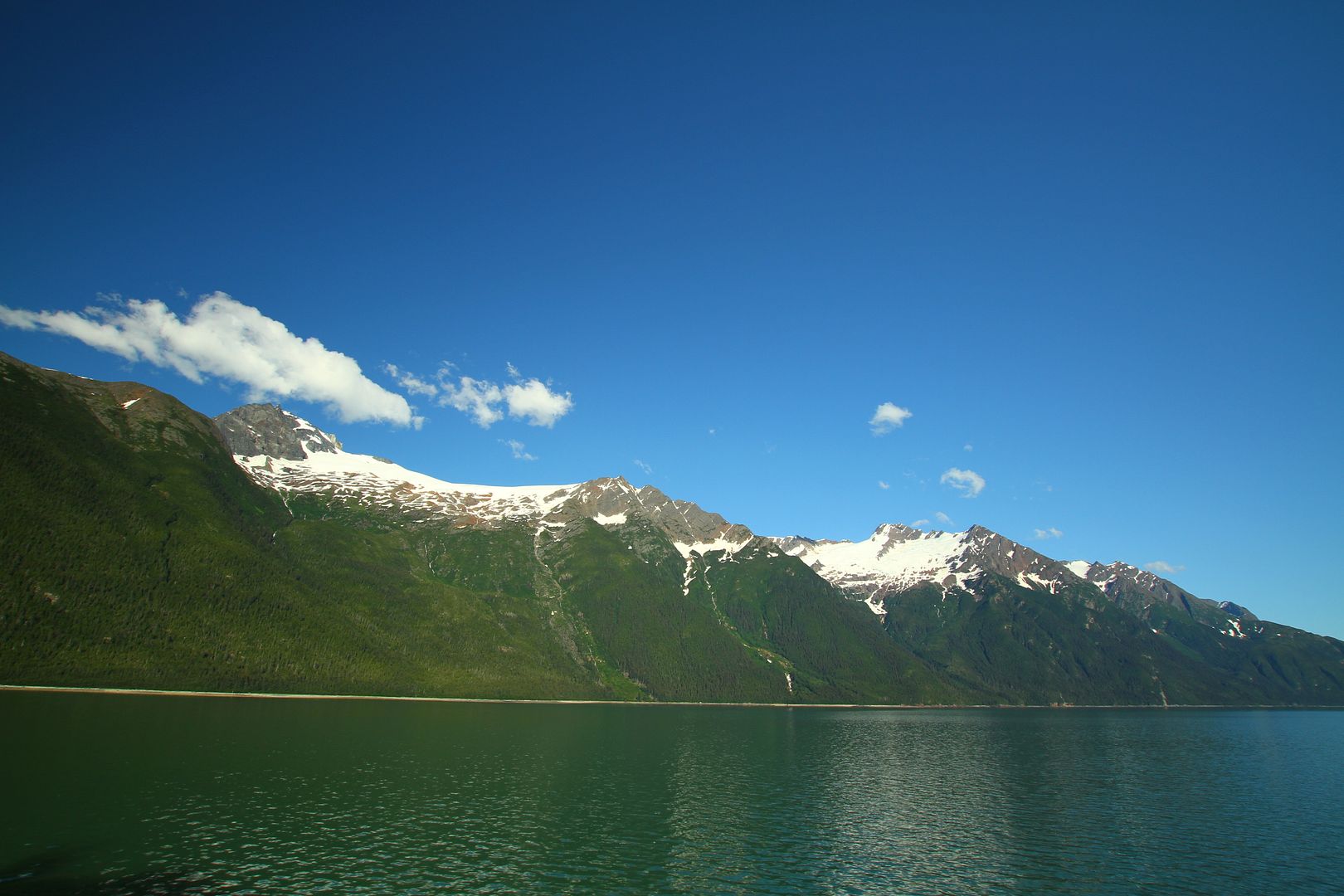 IMG_4063.jpg