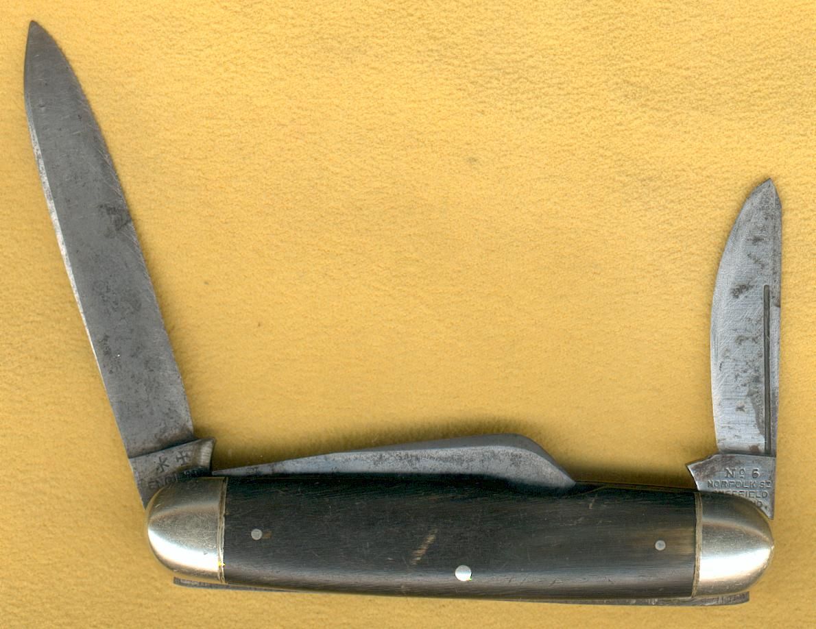 RodgersHornCattle3.jpg