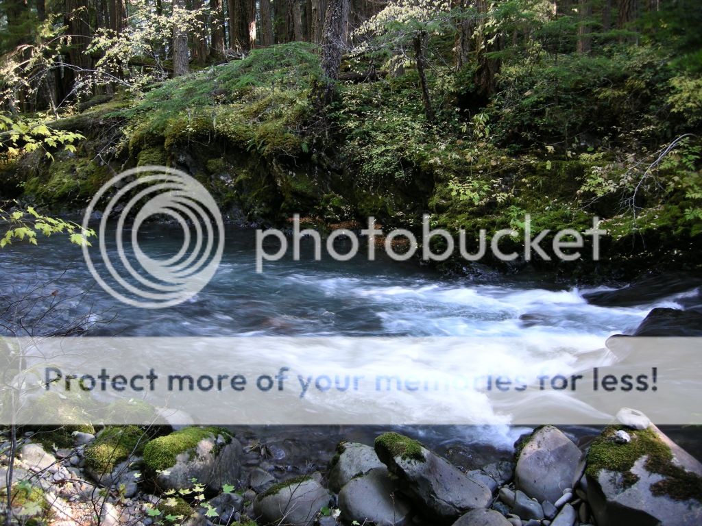 DSCN2439.jpg