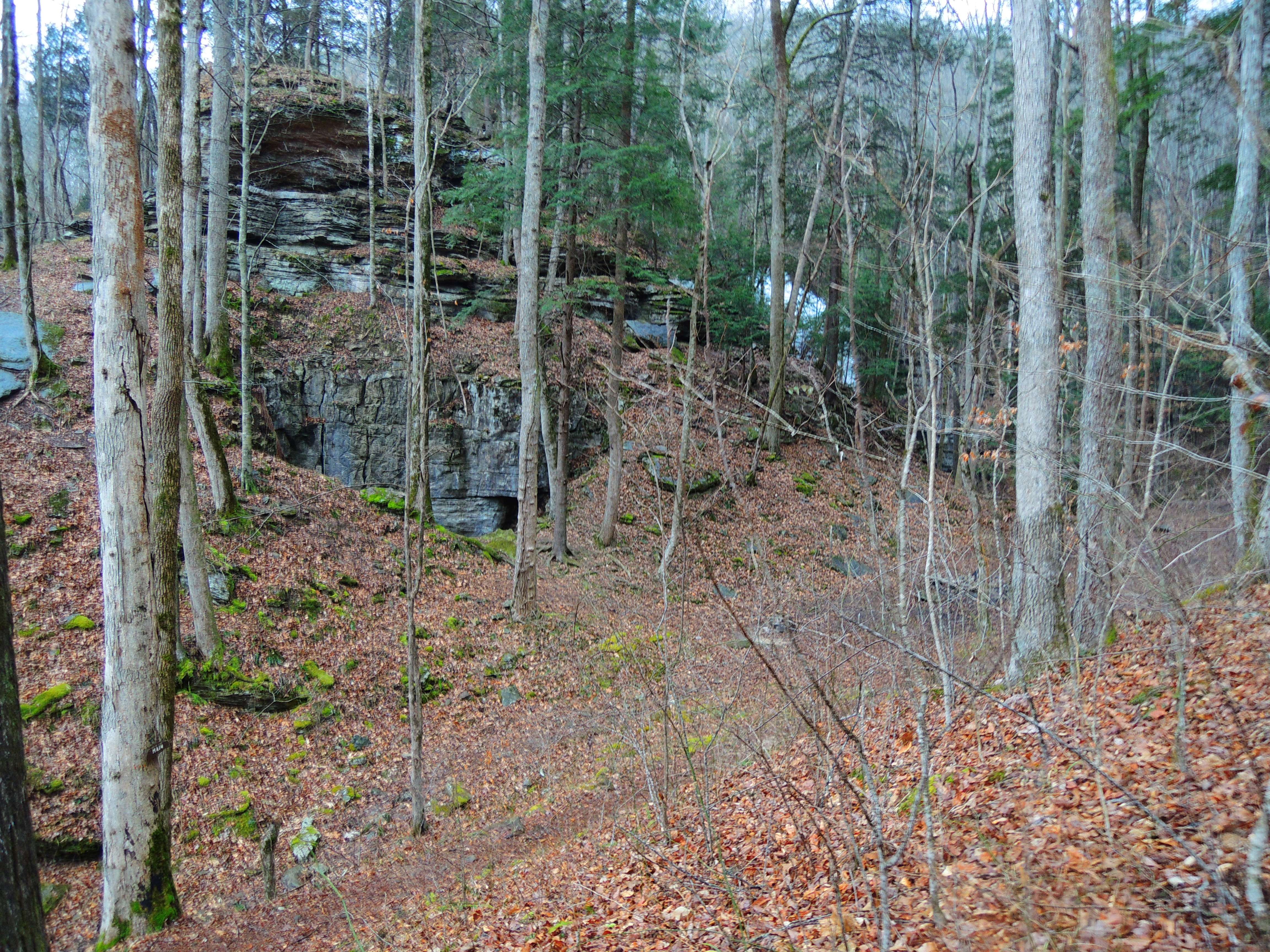 dscn7918u.jpg