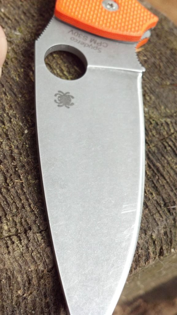 4CCB83B0-orig.jpg