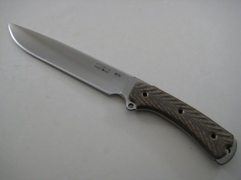 SAR8_270.jpg