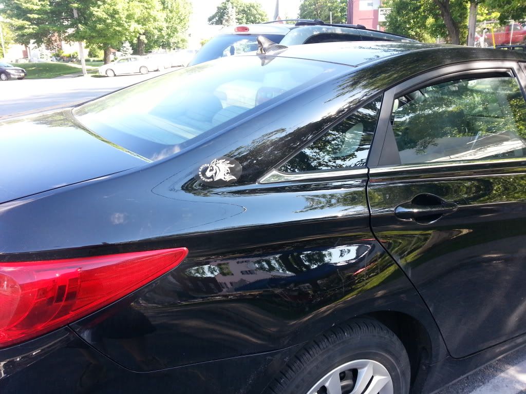 20130620_171958_zps6c339c00.jpg