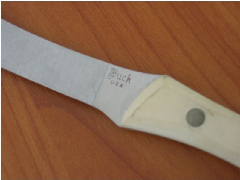 Image5.jpg