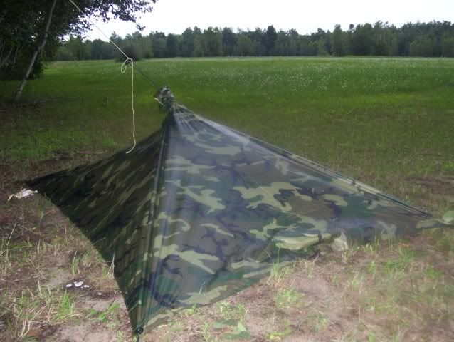 wlc35.jpg