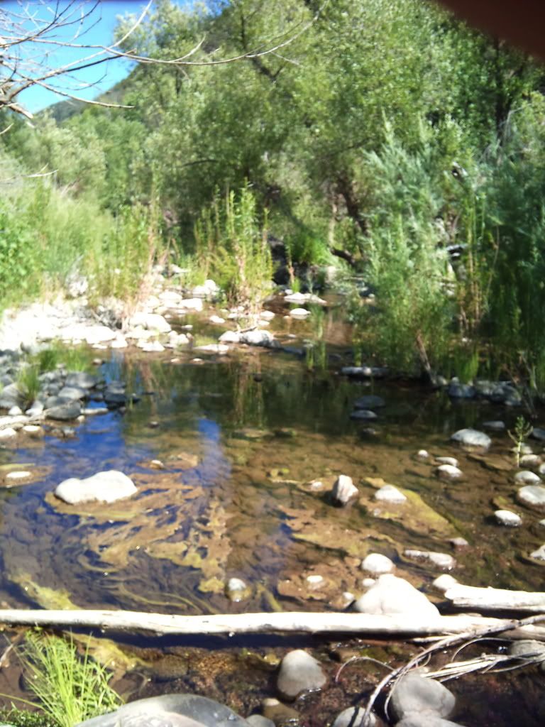 2011-08-09153544.jpg