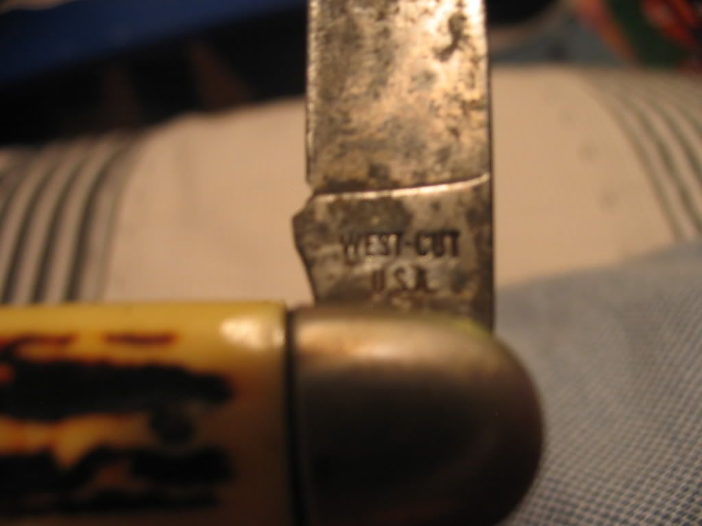camcoandwestcut004.jpg