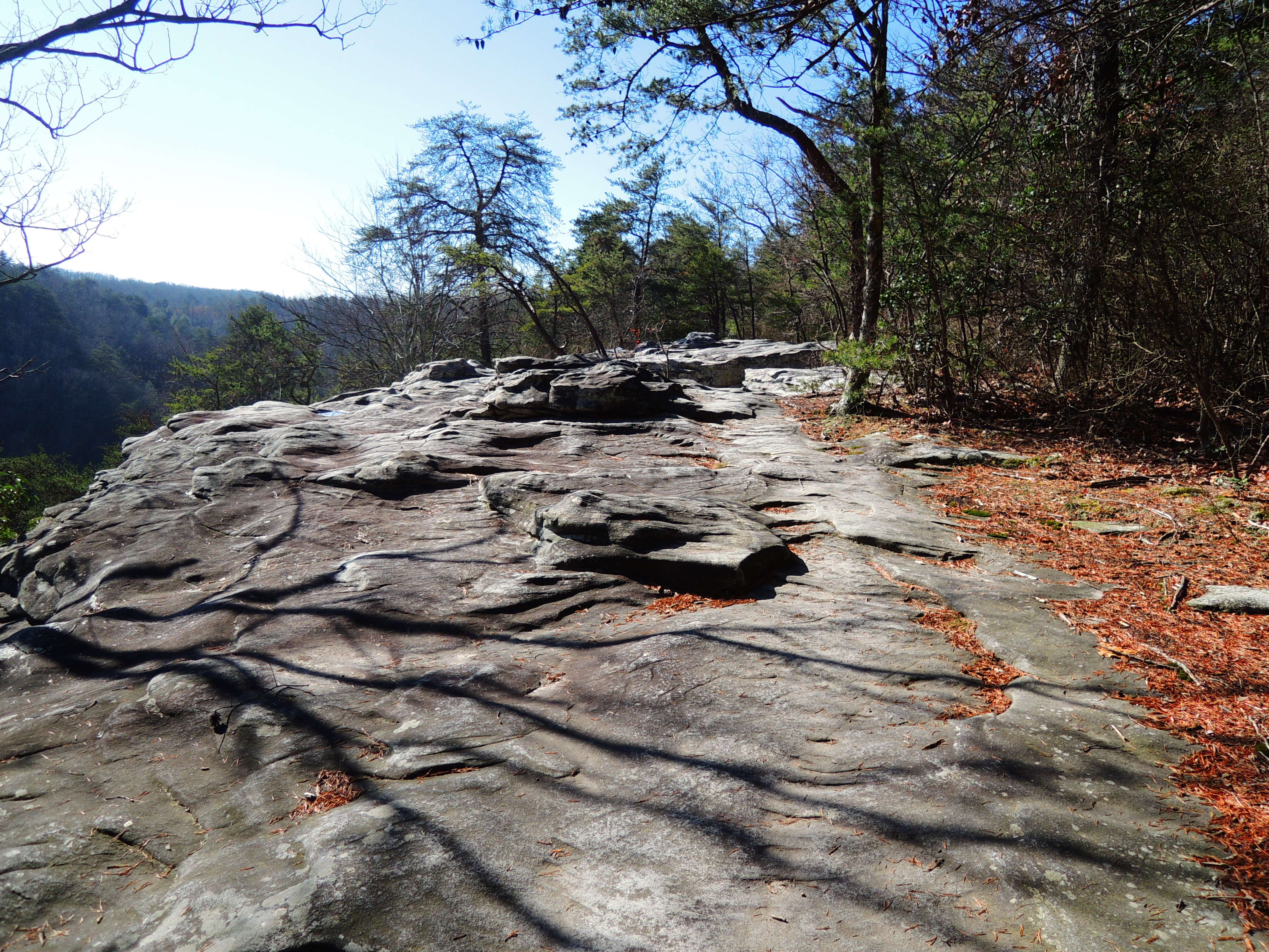 dscn4031.jpg