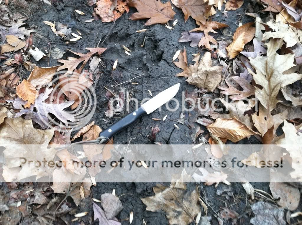 0a76451e.jpg