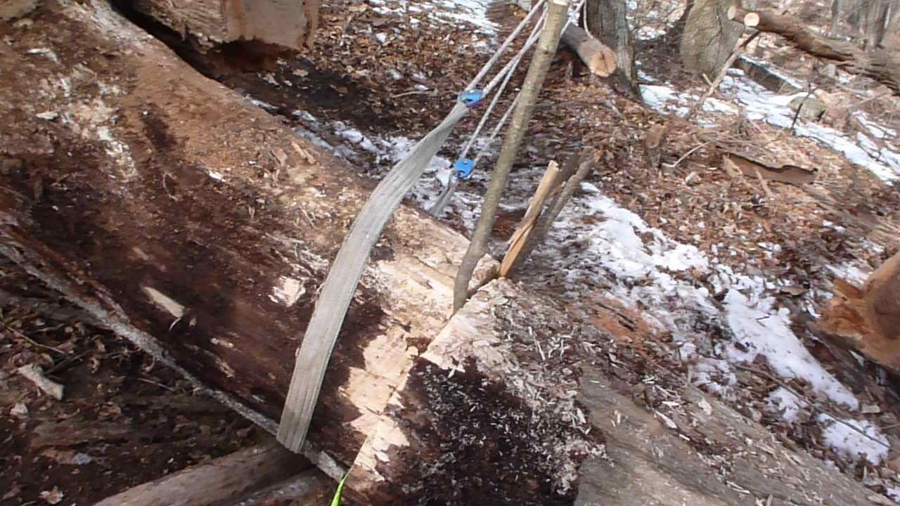 P1010138_zpszdujvjfa.jpg