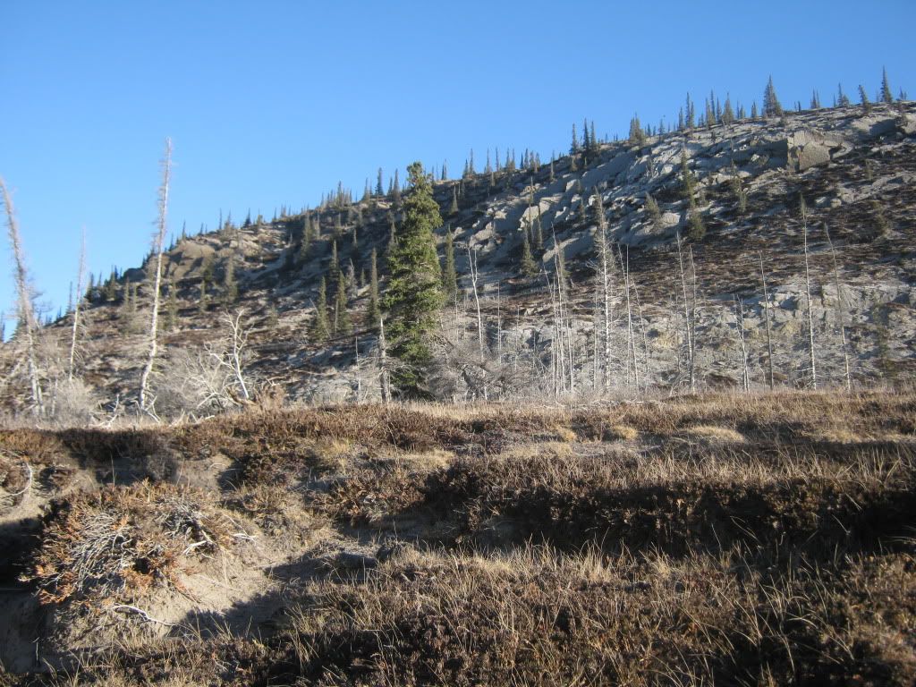 IMG_9321.jpg