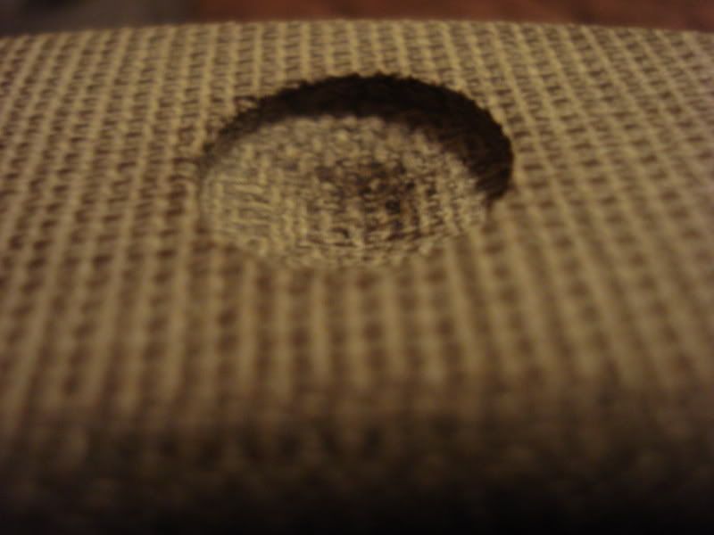 20090313_307.jpg