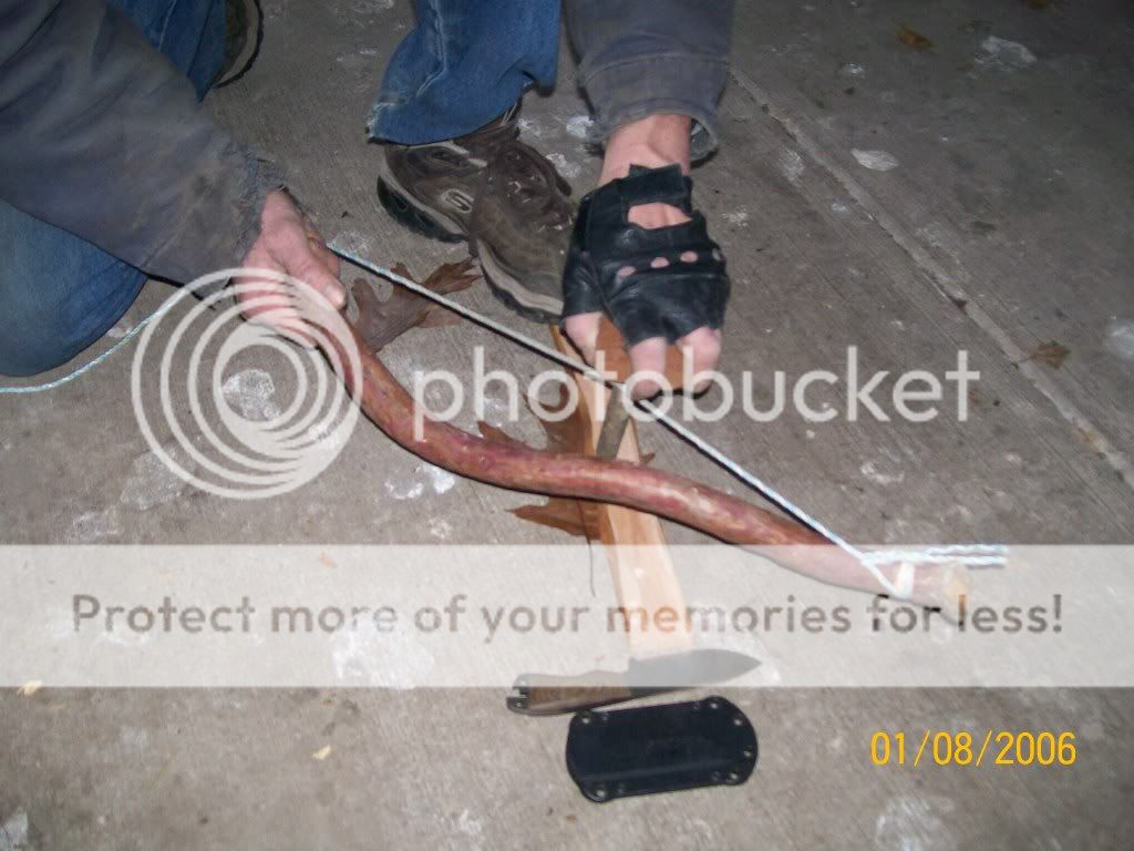 100_3774.jpg