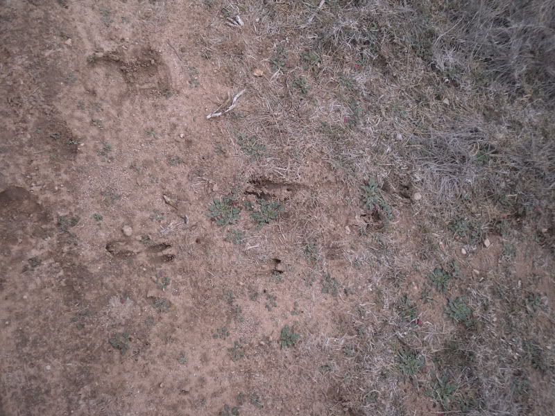 SDC13094.jpg