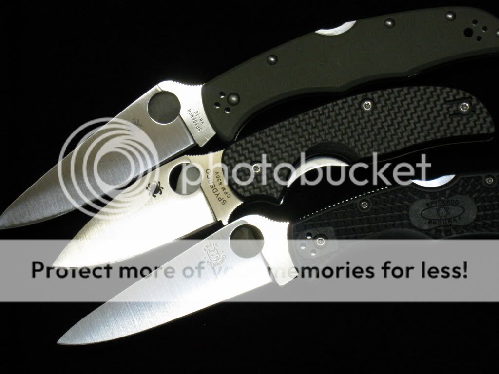 Sage037.jpg