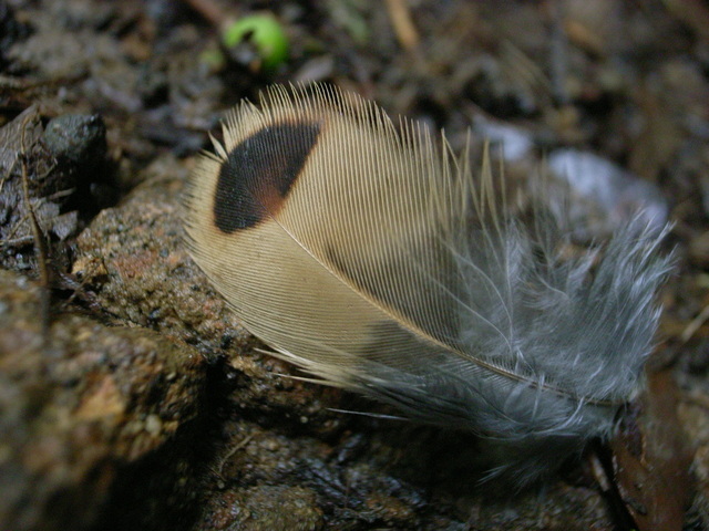 2011.05.18.R0023971.JPG